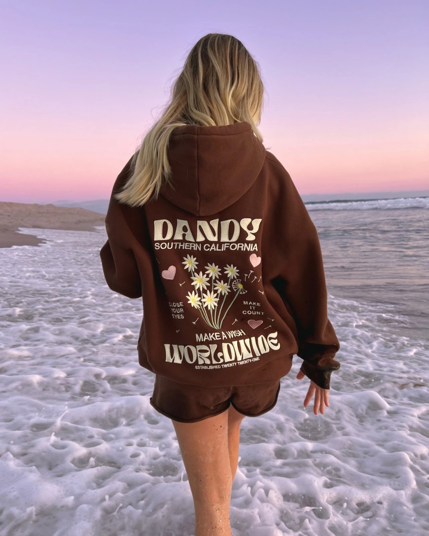2025 Streetwear Icons: Stüssy and Dandy Hoodies