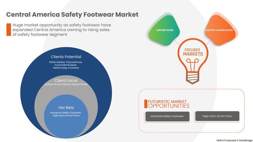 Central America Safety Footwear Market Expands as Industrial Workwear Standards Strengthen