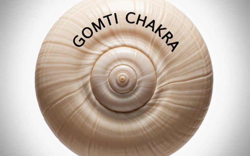 Top in Rudraksha Jewels – Natural Gomti Chakra That Works