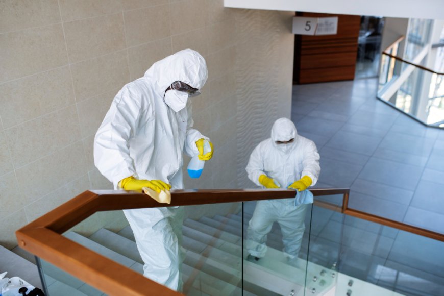 What to Do If You Discover Mold in Your Port St. Lucie Home: A Step-by-Step Guide