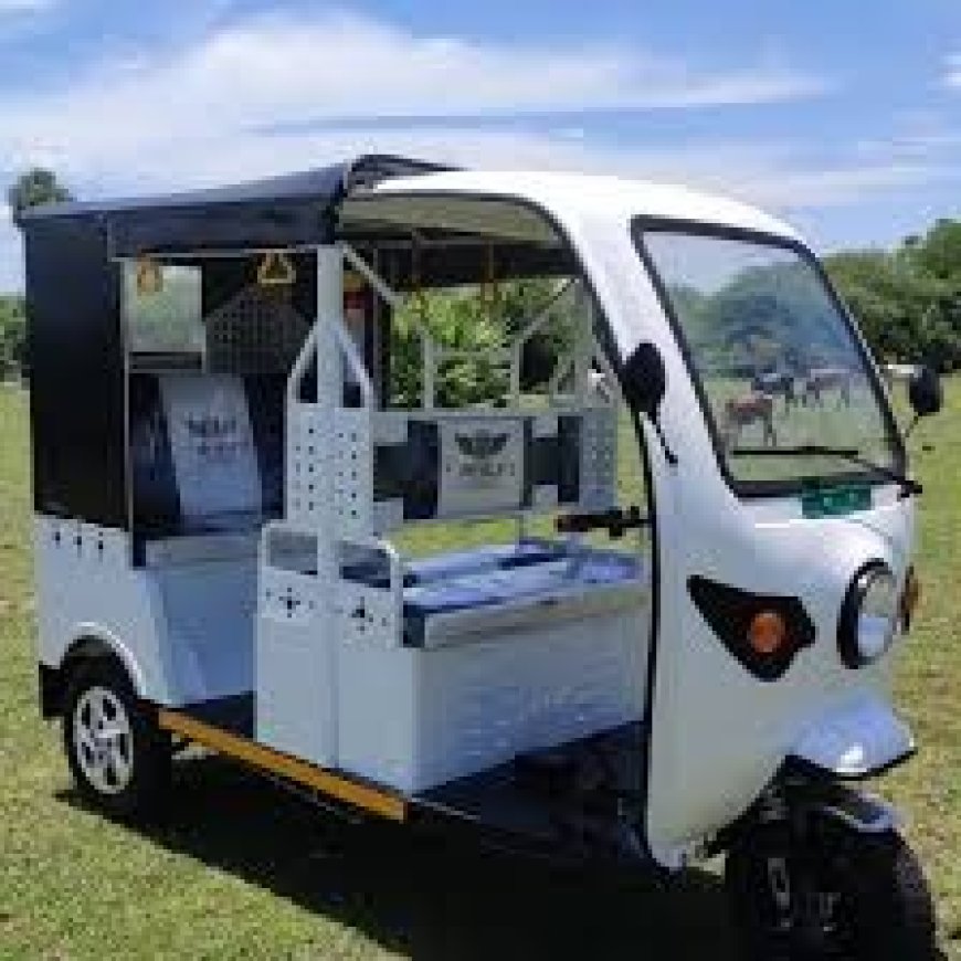 Setting up a E-Rickshaw Manufacturing Plant Report 2025- Cost Analysis
