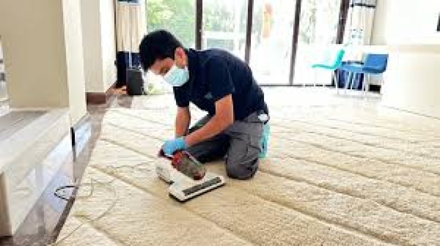 Trusted Best Carpet Cleaning Dubai Services for Homes and Offices
