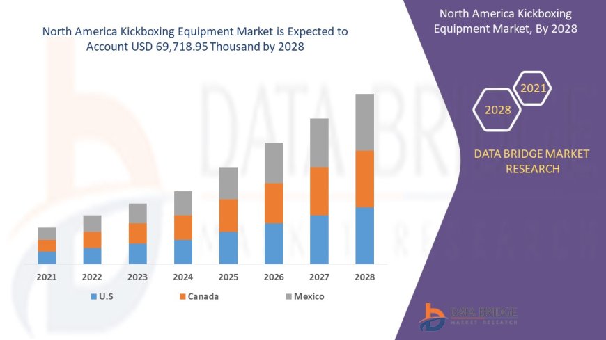 North America Kickboxing Equipment Market Gains Momentum with Rising Fitness Trends and Combat Sports Popularity