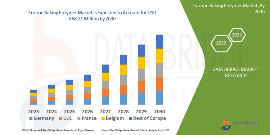 Europe Baking Enzymes Market Rises with Demand for Clean-Label and Functional Bakery Products