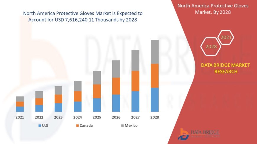 North America Protective Gloves Market Expands with Heightened Focus on Workplace Safety and Hygiene
