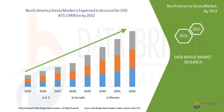 North America Stevia Market Climbs with Consumer Preference for Sugar-Free and Natural Alternatives
