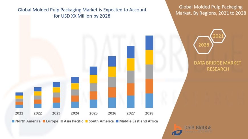 Molded Pulp Packaging Market Rises with Eco-Friendly Alternatives to Single-Use Plastics