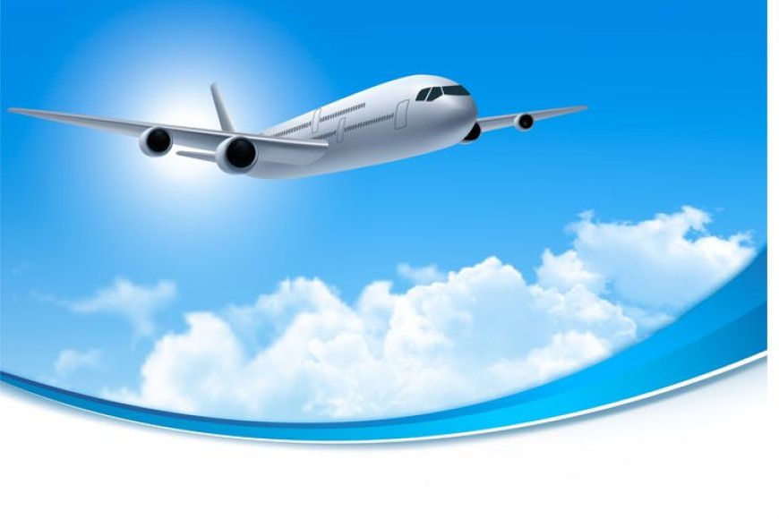 From Runways to Revelry: The Journey of a Lifetime on a Delhi to Goa Flight