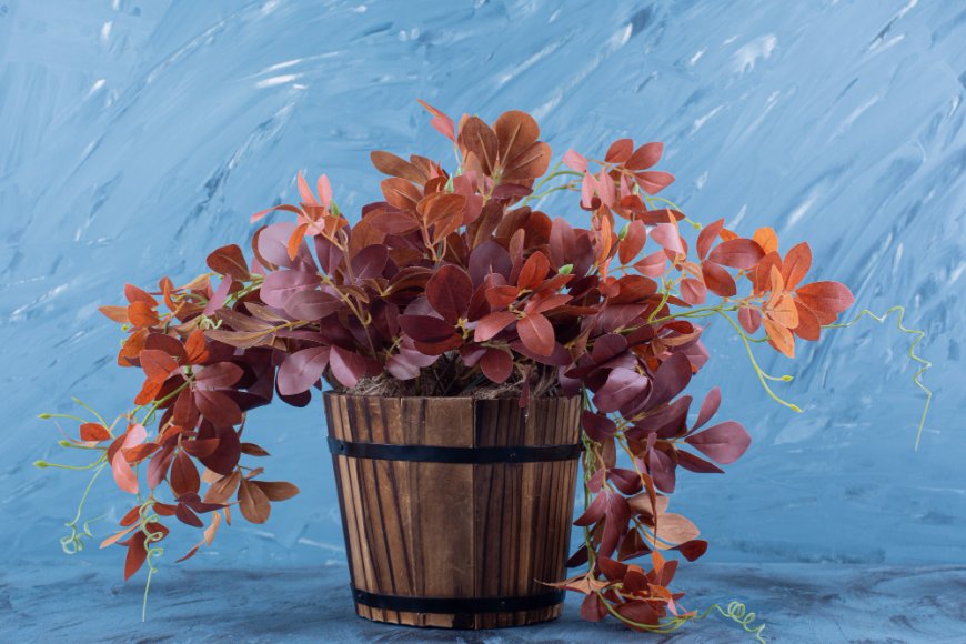 Minimalist Floral Vase Fillers for a Modern, Elegant Look