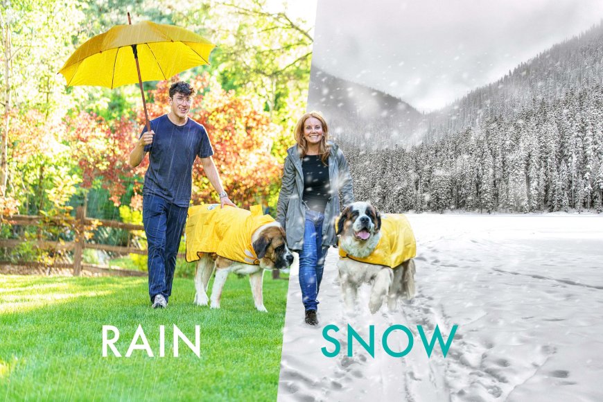 HugeHounds Rain Gear Keeps Your Big Dog Dry and Dashing