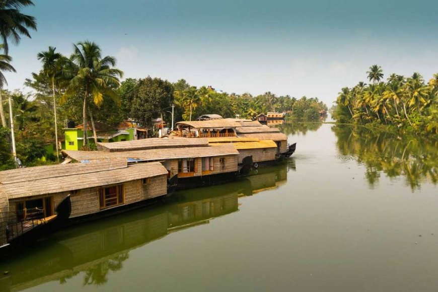 Munnar for Foodies: Sampling Kerala’s Flavors in the Hills
