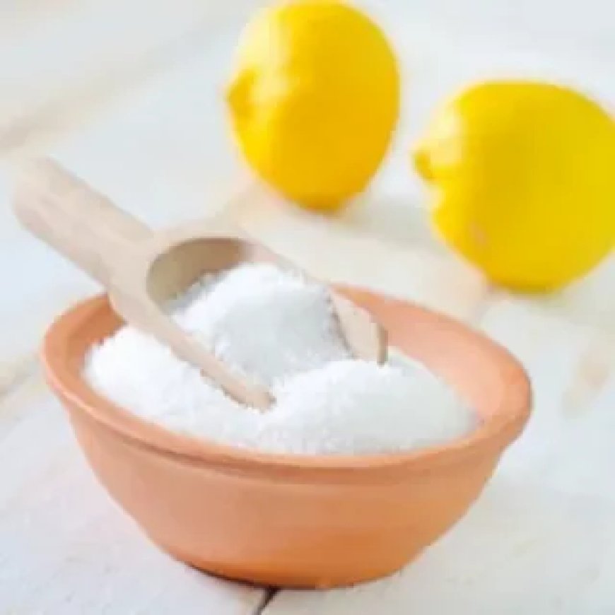 Citric Acid Market Size, Trends, and Growth Forecast 2025-2032