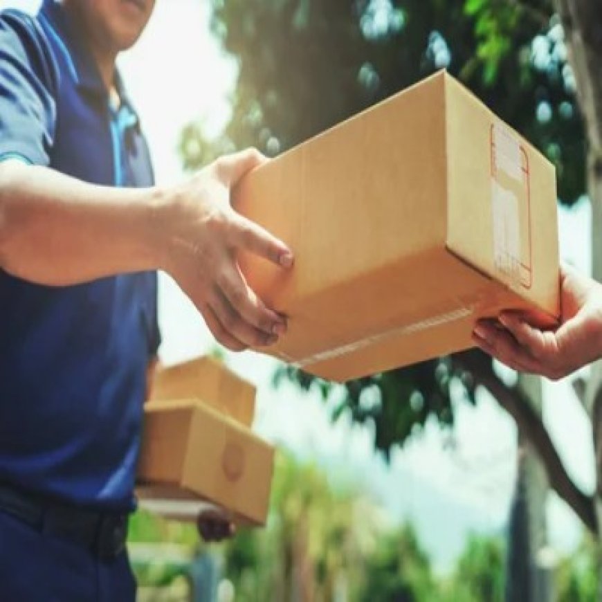 Parcel Delivery Logistics Market Growth and Trends 2025 to 2032